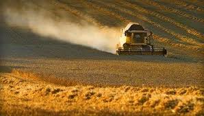 EXPLOATATII AGRICOLE