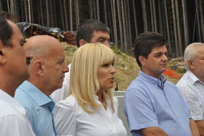 elena udrea
