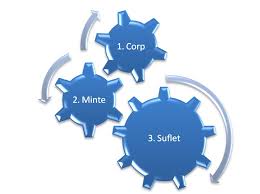 suflet corp