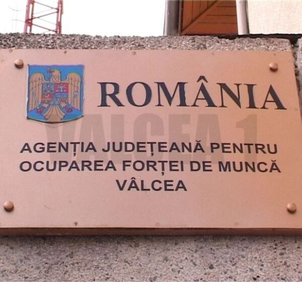 AJOFM Vâlcea: 424 locuri de muncă vacante în județul Vâlcea. 139 locuri de muncă vacante în Spațiul Economic European/UE