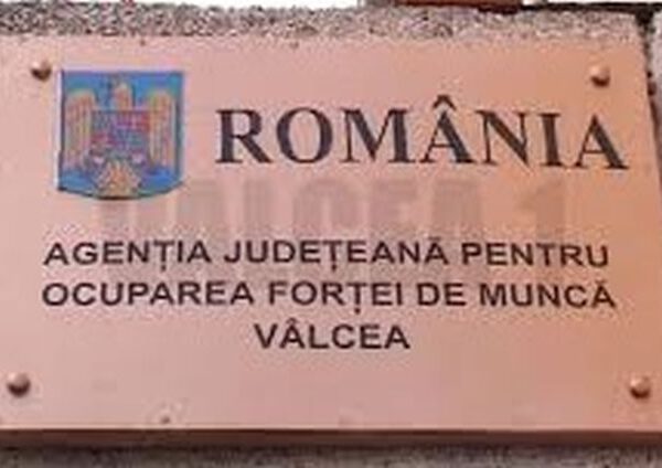  AJOFM Vâlcea: 365 de locuri de muncă vacante în județ