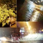 Copaci prăbușiți, curți inundate și mașini avariate. Bilanțul furtunii de miercuri în Argeș