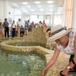 Mai puține bilete de tratament balnear în 2026