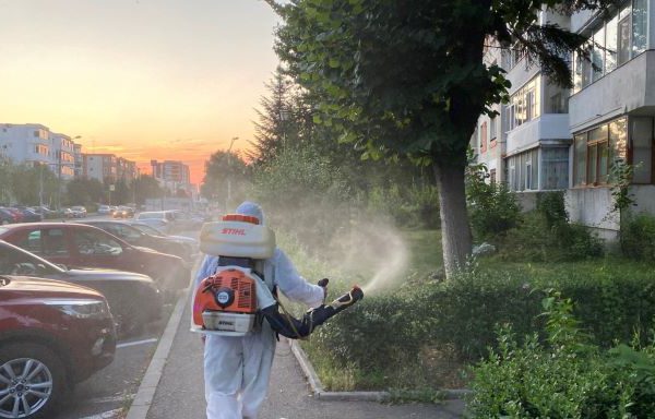 Atenție, stropiri în spațiile verzi din Pitești! Programul complet al intervențiilor