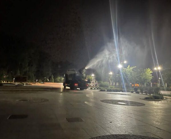 În noaptea de 3 spre 4 iulie, o nouă etapă a acțiunii de dezinsecție, în Pitești!