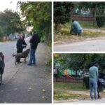 Pitești. Amenzi pentru cei care nu curăță după animalele lor de companie, în spațiul public!
