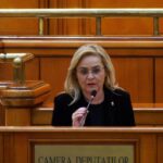Deputatul Daniela Oteșanu: ”Austria a ales astăzi să fie pe contrasens cu Uniunea Europeană”