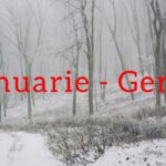 Superstiții ale lunii ianuarie. Vezi ce trebuie să faci și să nu faci azi, de&hellip;