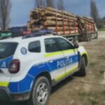 Nereguli la un transport de lemne în Corbi. Șoferul s-a ales cu dosar penal, amendă&hellip;