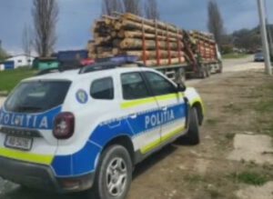 Nereguli la un transport de lemne în Corbi. Șoferul s-a ales cu dosar penal, amendă și încărcătura confiscată