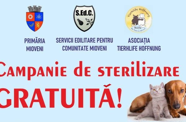 Sterilizări gratuite pentru câini și pisici la Mioveni. Proprietarii se pot programa deja