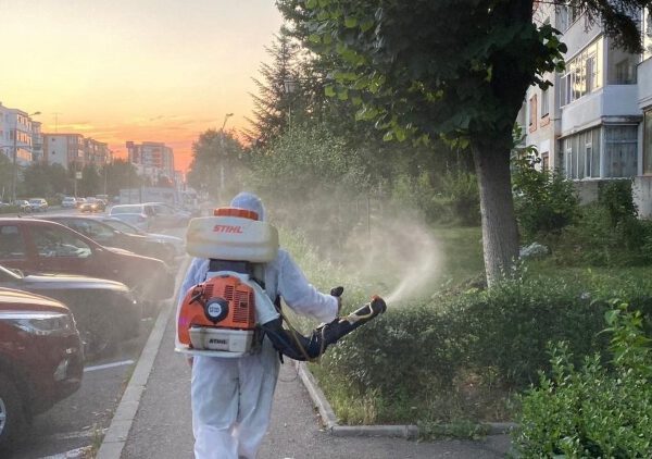 Pitești. Stropiri contra dăunătorilor plantelor, în perioada 10 – 19 iunie! Vedeți programul