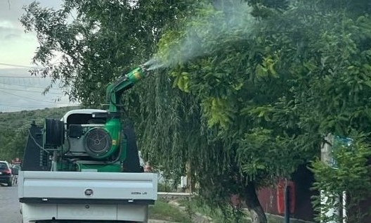 Dezinsecție la Topoloveni în această noapte. Se intervine împotriva țânțarilor pe domeniul public
