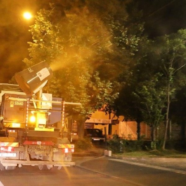 Prima trecere în cadrul acțiunii de dezinsecție a avut loc, în Pitești: 17-18 iunie 2025