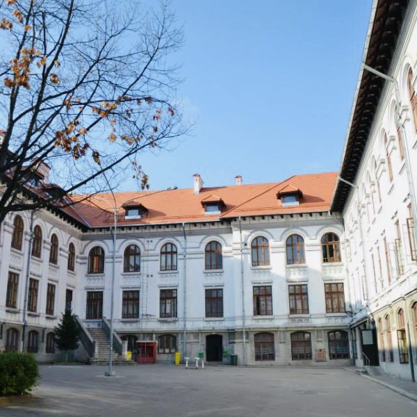 Singura medie de 10 la Bacalaureat 2025, în Argeș: Tudor Andrei Vasilescu, olimpic și viitor medic