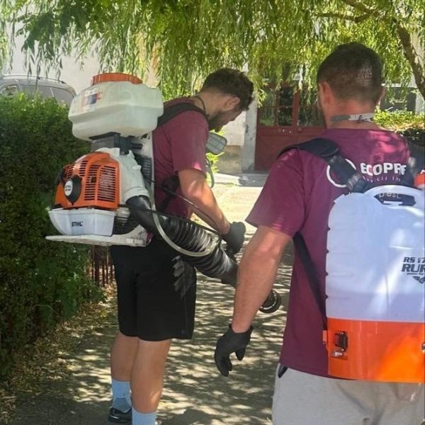 Mioveni. Luni, 7 iulie, acțiune de dezinsecție în Parcul Tineretului și zona CKD!