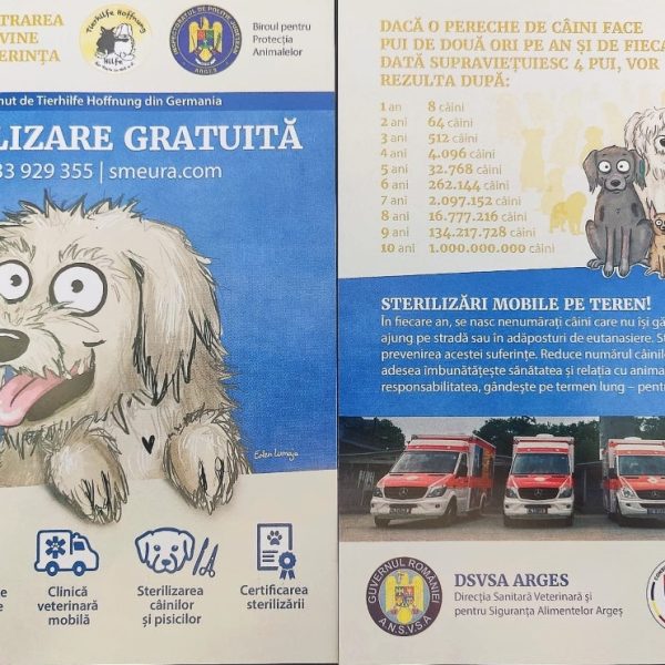 Acțiune de conștientizare a beneficiilor sterilizării câinilor și pisicilor, la Pitești