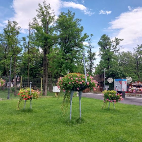 Grădina Zoologică Râmnicu Vâlcea vine cu precizări privind starea de sănătate a animalelor