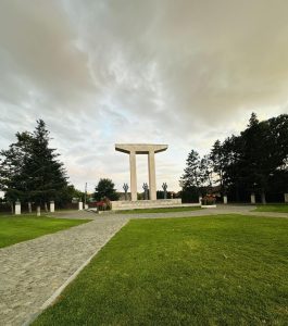 Blaj Andra Bica 3