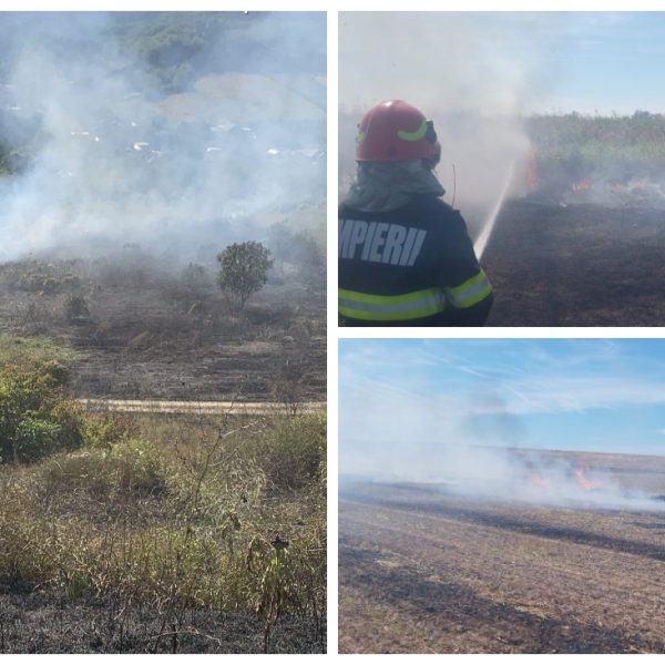 Astăzi, în Argeș: 5 incendii de vegetație uscată, peste 12 ha de teren distruse