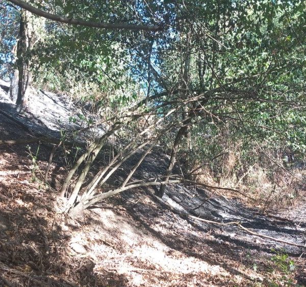 Un bărbat rănit și trei hectare de teren afectat, într-un incendiu de vegetație