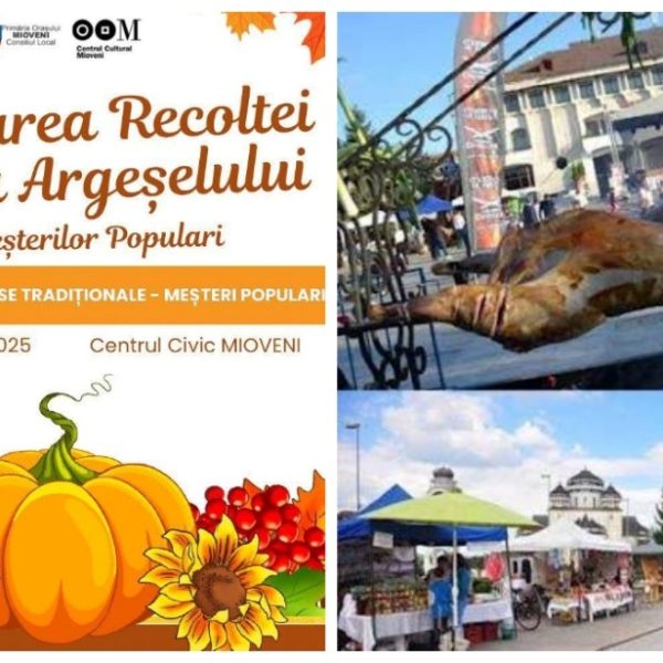 Începând de luni, se fac înscrieri pentru participarea la „Târgul Meșterilor Populari – Sărbătoarea Recoltei pe Valea Argeșelului”, de la Mioveni