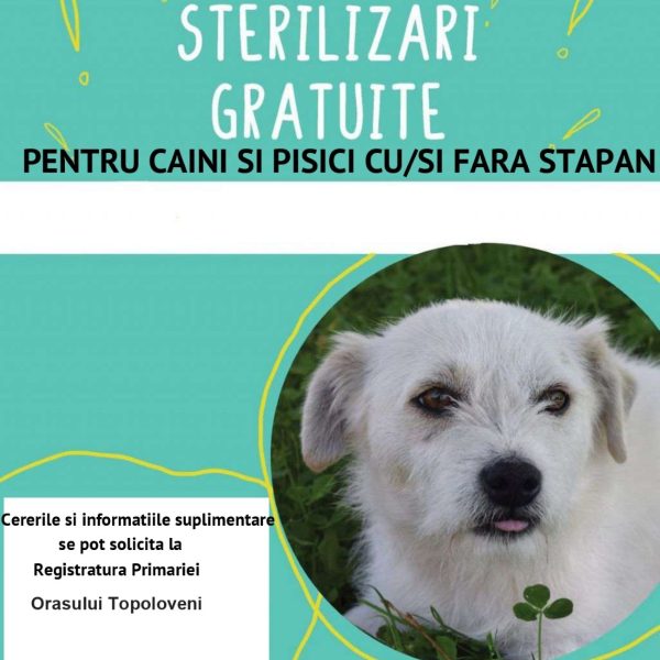 Sterilizări gratuite pentru câini și pisici, la Topoloveni!