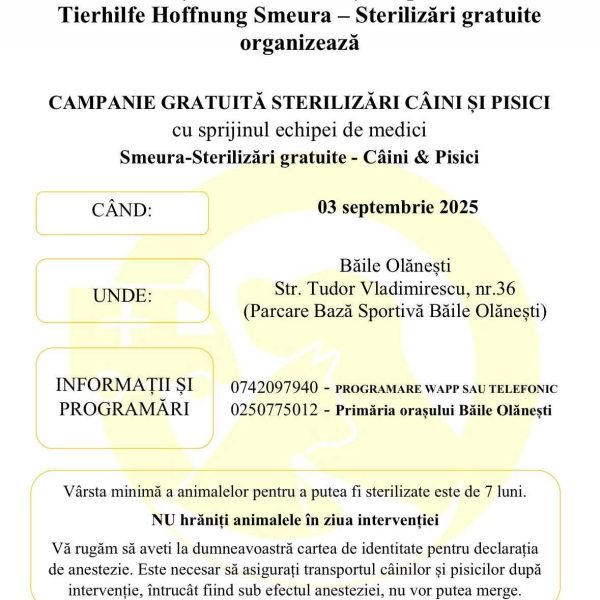Primăria Băile Olănești: Campanie GRATUITĂ de STERILIZARE a câinilor și pisicilor cu și fără stăpân