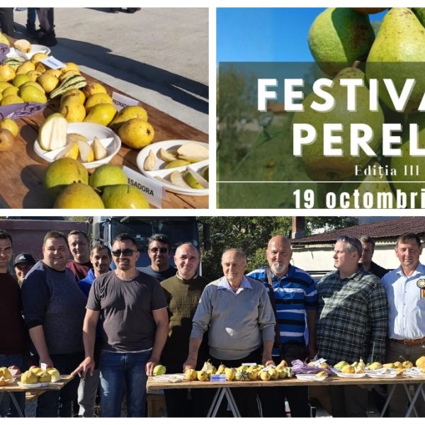 Festivalul Perelor din Poienarii de Muscel ajunge la a treia ediție