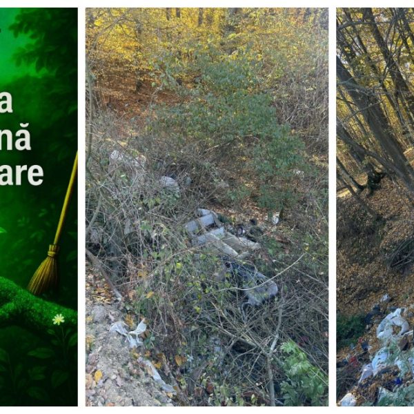 Strângem gunoaiele din Trivale: Participă sâmbătă, 11 octombrie, la acțiunea de curățenie!
