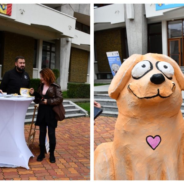 Bobiță, simbolul responsabilității față de animale în județul Argeș
