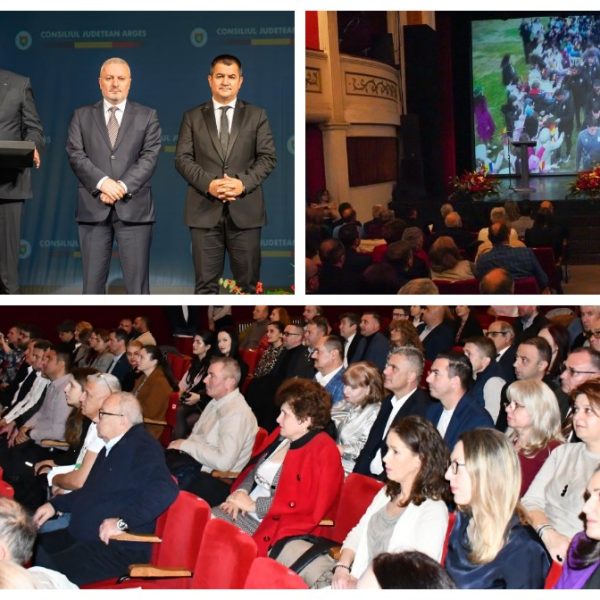 Consiliul Județean Argeș, raport de activitate pentru primul an al mandatului 2025