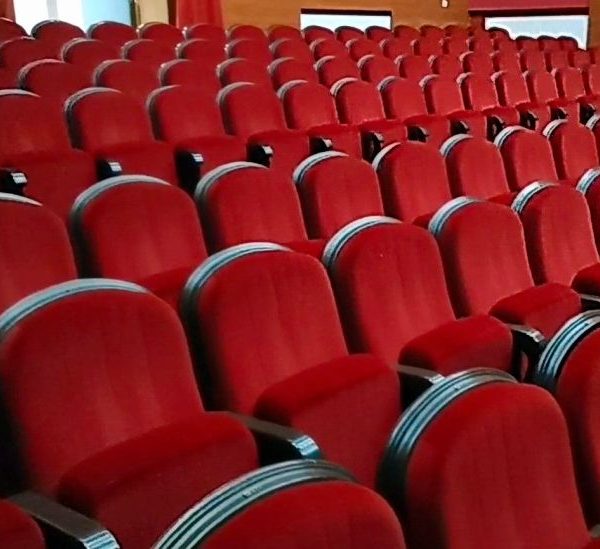 Mircia Gutău: ”Am luat decizia de inițiere a unificării Teatrului „Ariel” și Filarmonicii „Ion Dumitrescu” în cadrul unei entități culturale municipale”