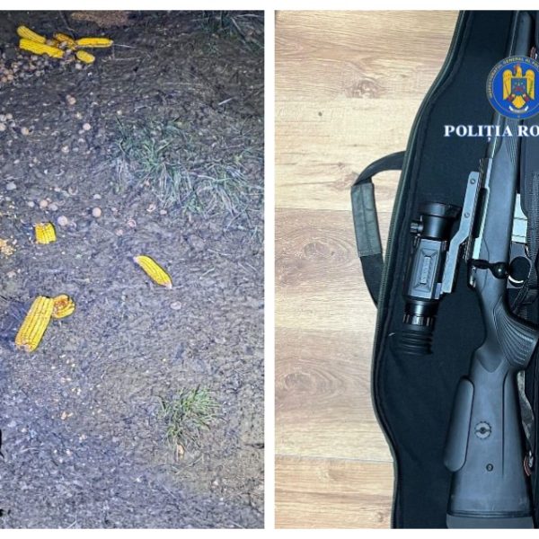 Argeșeni prinși de polițiștii vâlceni în timp ce pregăteau o acțiune de braconaj