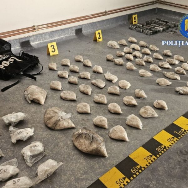VIDEO. Alte 10 kilograme de droguri, găsite îngropate. Trei bărbați au fost arestați