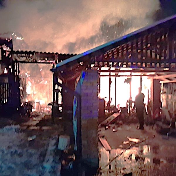 Animalele au fost salvate! 65 de păsări scoase din flăcări, la un incendiu izbucnit într-o comună vâlceană
