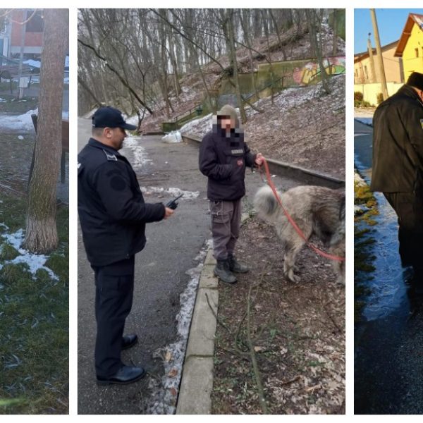 Pitești. Poliția Locală, cu ochii pe stăpânii de câini. Amenzi de până la 2.000 de lei pentru cei care nu strâng după animale!