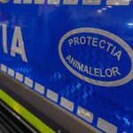 Cruzime greu de imaginat: bărbat de 30 de ani, reținut după moartea unui câine aruncat&hellip;