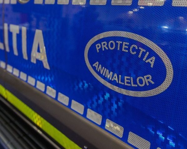 Amenzi de peste 13.000 de lei și doi câini salvați, în urma controalelor pentru protecția animalelor