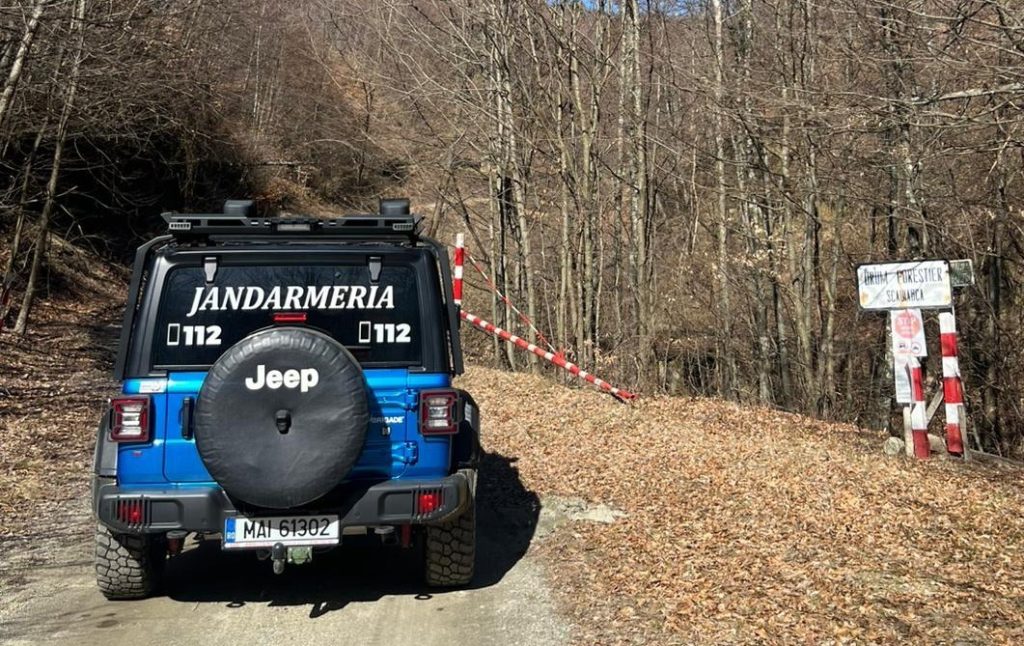 Rănit de urs în pădure, un vâlcean de 64 ani a ajuns la spital