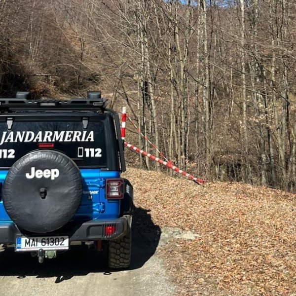 Rănit de urs în pădure, un vâlcean de 64 ani a ajuns la spital