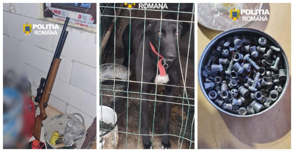 Percheziții la braconieri: arme neautorizate, câini de vânătoare și carne de vânat confiscate de polițiști