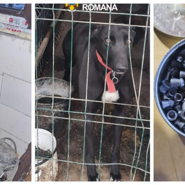 Percheziții la braconieri: arme neautorizate, câini de vânătoare și carne de vânat confiscate de polițiști