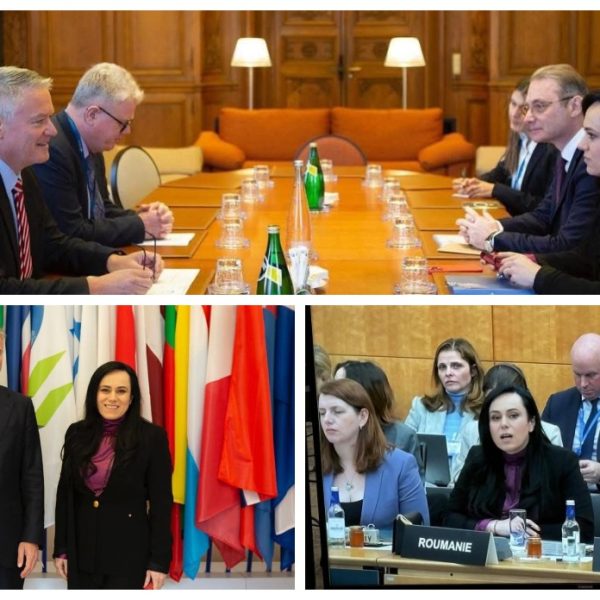 Simona Bucura Oprescu: Aderarea la OCDE aduce României credibilitate și costuri mai mici de finanțare