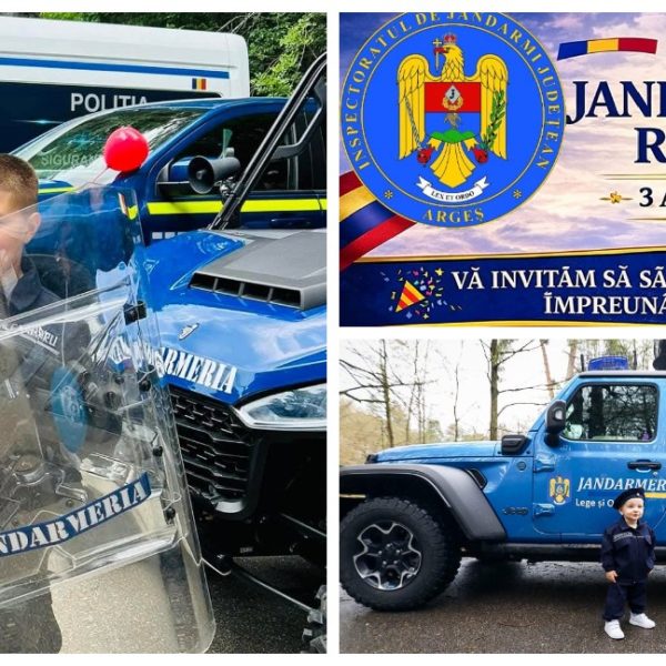 Weekend special în Argeș: jandarmii aduc câinii de serviciu, caii și tehnica în fața publicului