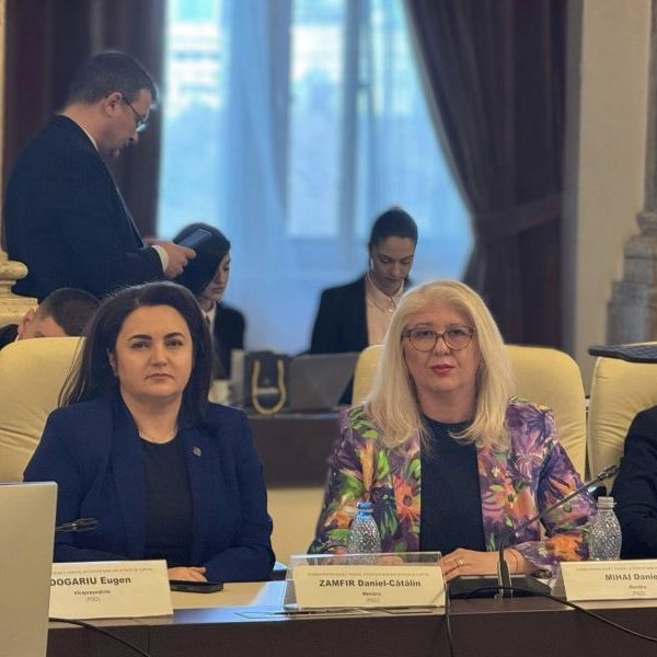 Senatorul Andra Bica: Am votat amendamentele propuse de PSD pentru sprijinirea pensionarilor militari și a celor din MAI cu pensii mici