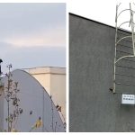 Patru tineri au urcat pe acoperișul Centrului Cultural Mioveni. Imaginile au ajuns la Poliție