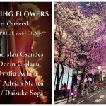 Celebrating Flowers, program de muzică japoneză, la Filarmonica Pitești
