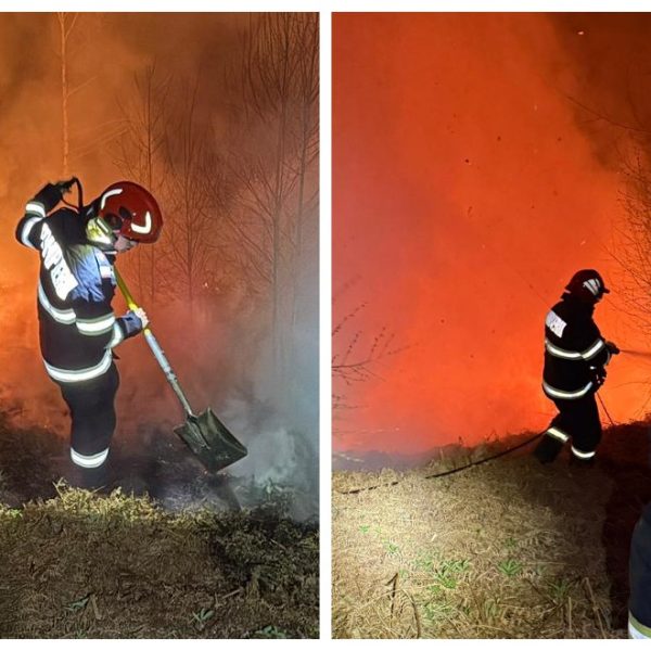 VIDEO. Incendiu de vegetație la Vaideeni, în toiul nopții. Flăcările au amenințat pădurea!