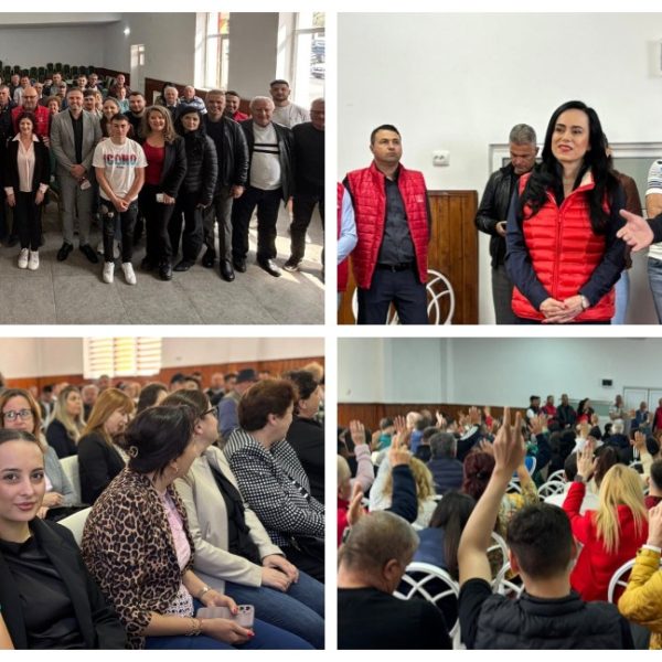 Primarii performanți, validați la conducerea organizațiilor PSD din Priboieni, Boțești, Dobrești și Beleți-Negrești!